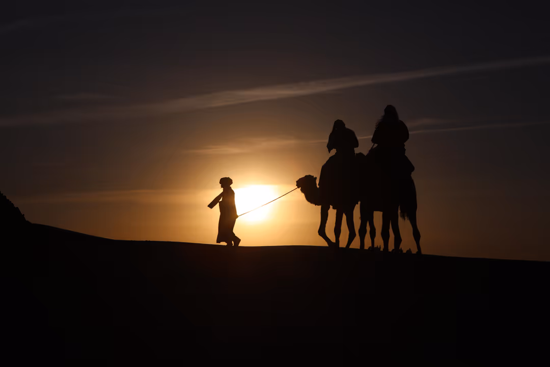 Dromadaire Agafay Marrakech